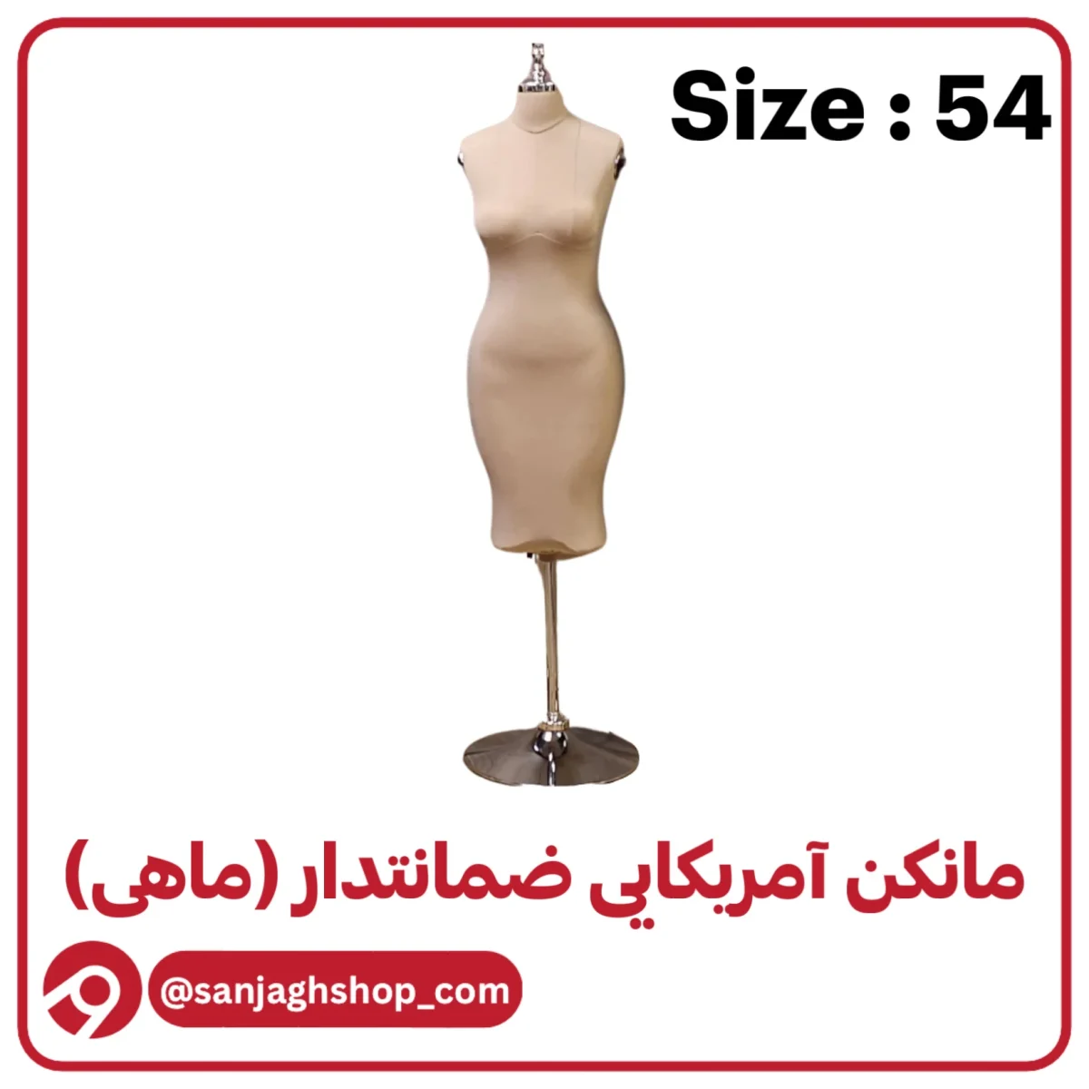 مانکن آمریکایی کرم سایز 54 (ماهی)